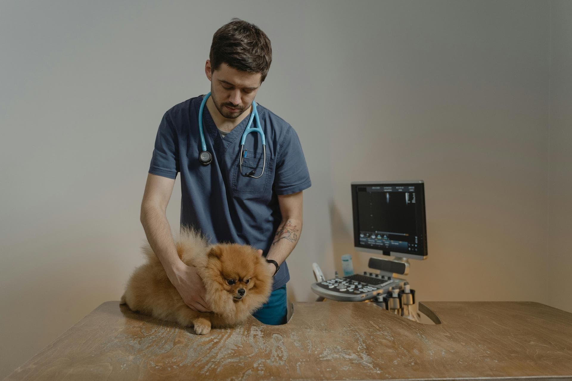 Dog & Cat Vets in Clonsilla